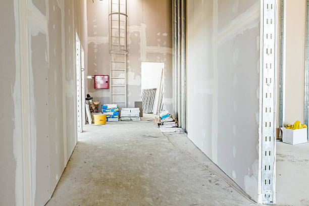 Best Biohazard Mold Removal  in Kuna, ID